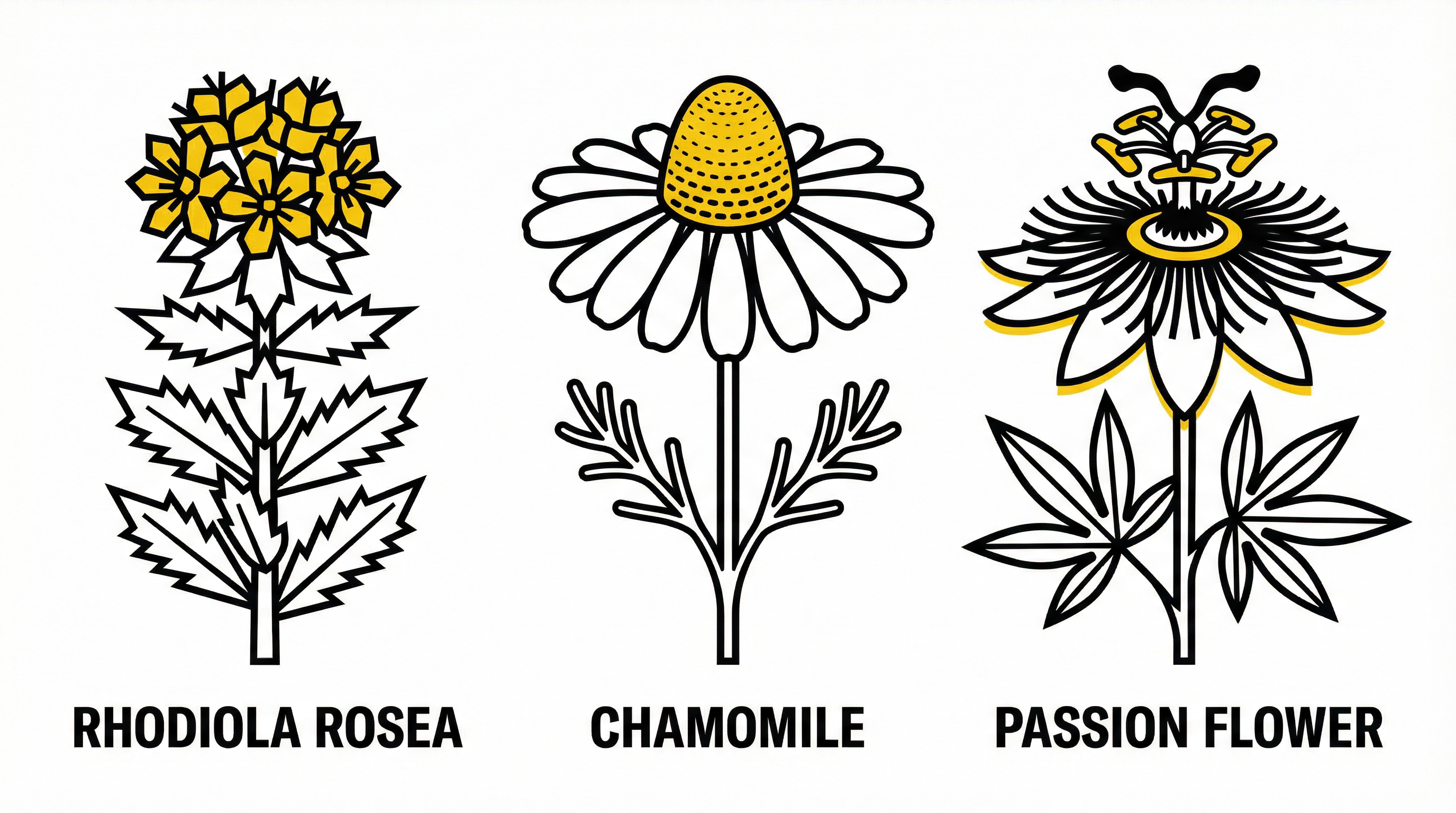 Adaptogen botanicals